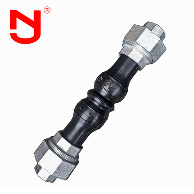 Union visée en acier inoxydable Bspt joint fileté joint flexible joint fileté d'expansion